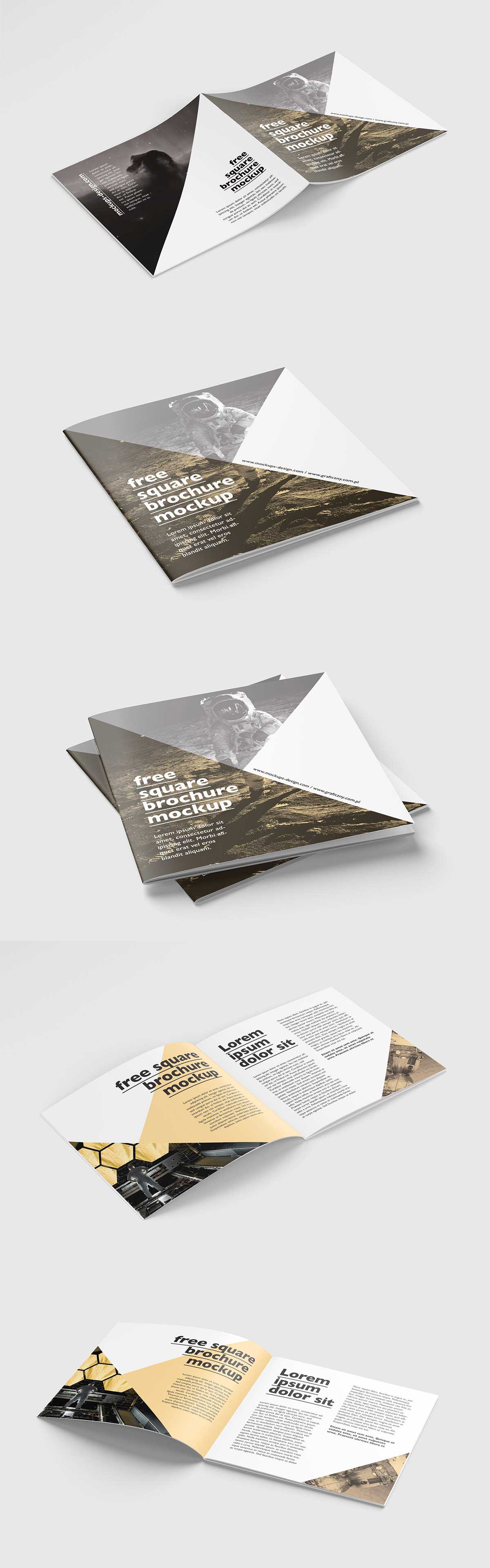 Free-Square-Brochure-Mockup-PSD