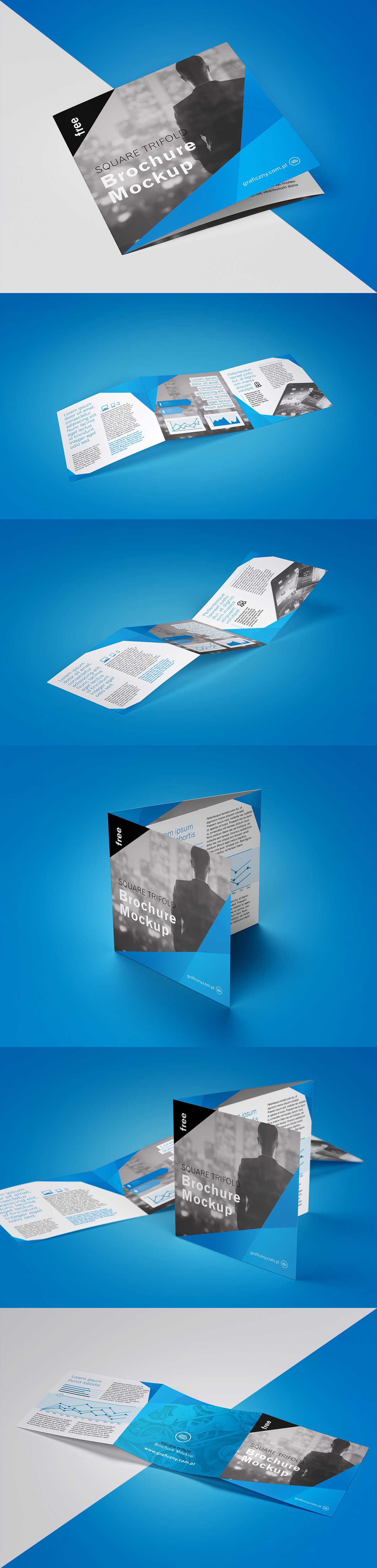 Free-Trifold-Square-Brochure-PSD
