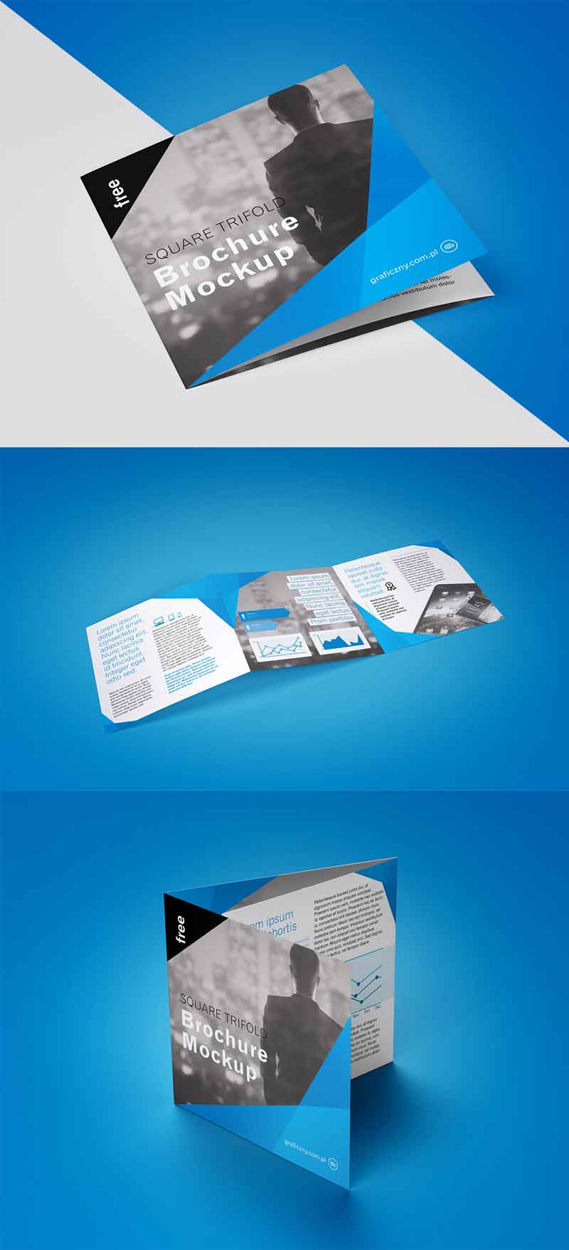 Free-Trifold-Square-Brochure