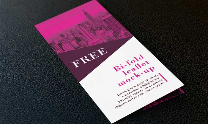 Free-bi-fold-DL-leaflet-mockup-PSD.jpg0