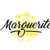 Free-Marguerite-Script.jpg10